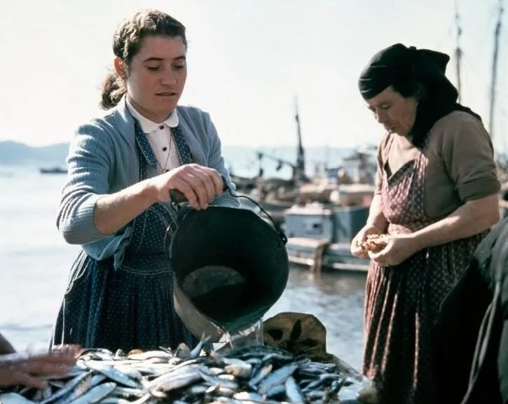 Como a sardinha virou símbolo de Portugal