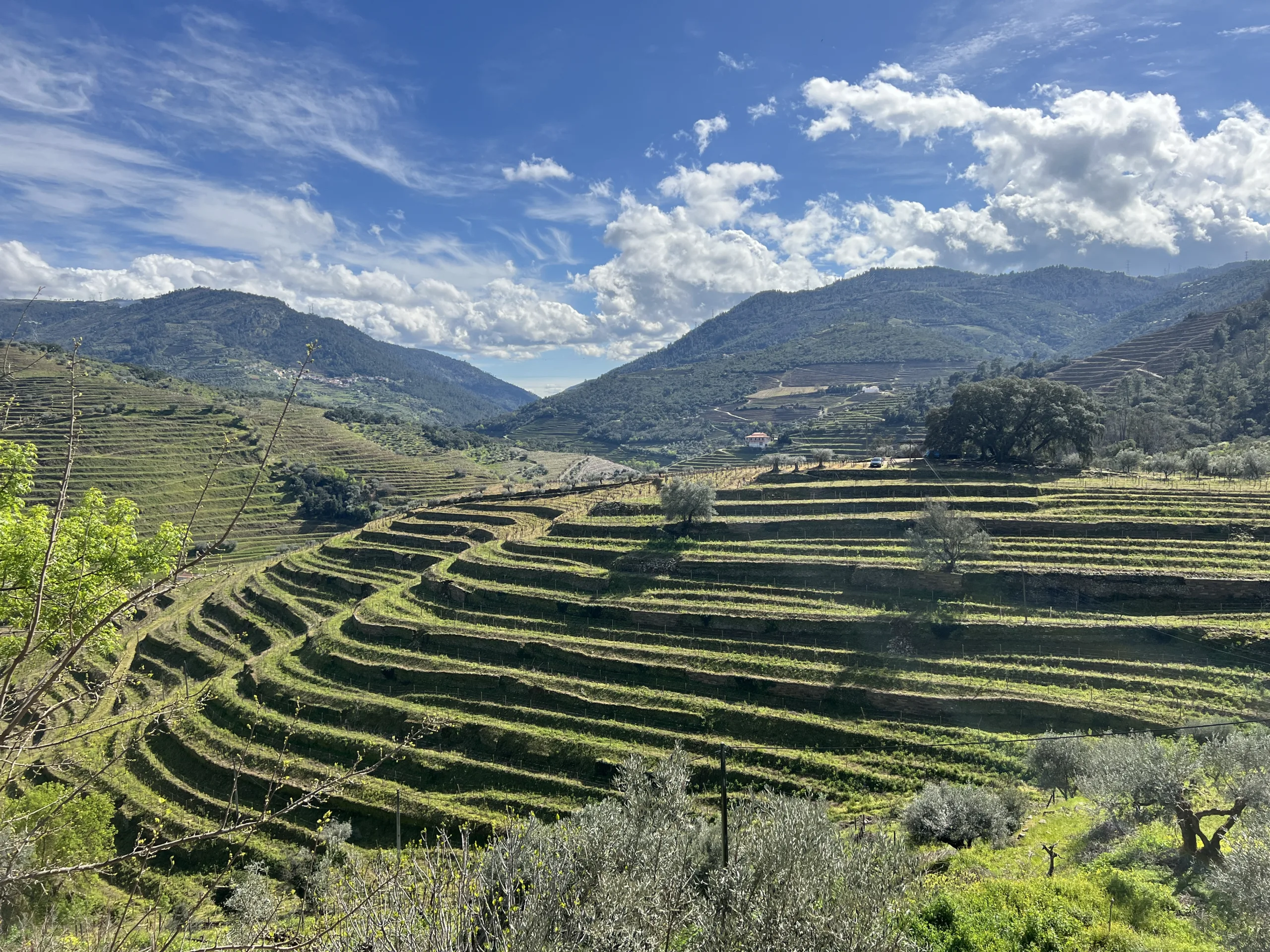 Vale do Douro: experimente vinhos locais e aproveite para passear de barco. Crédito: Renata Telles