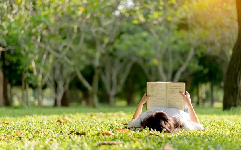 Literatura nas férias. Divulgação FFMS