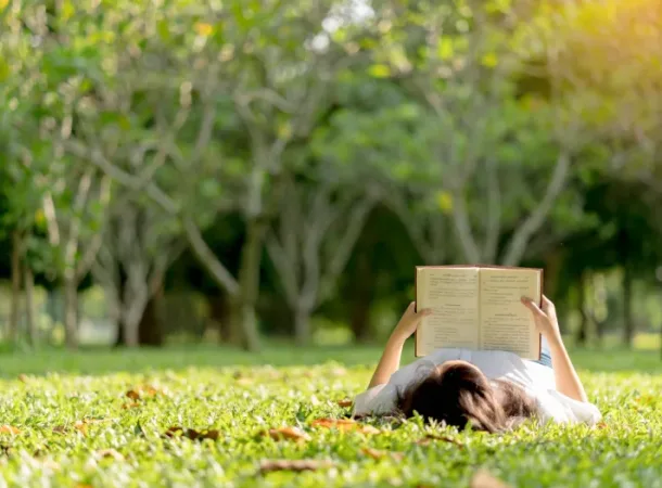 Literatura nas férias. Divulgação FFMS